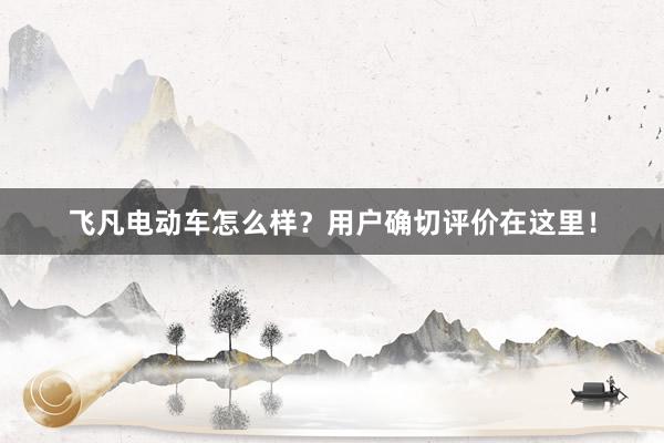 飞凡电动车怎么样？用户确切评价在这里！