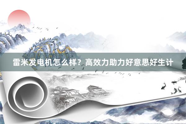 雷米发电机怎么样？高效力助力好意思好生计